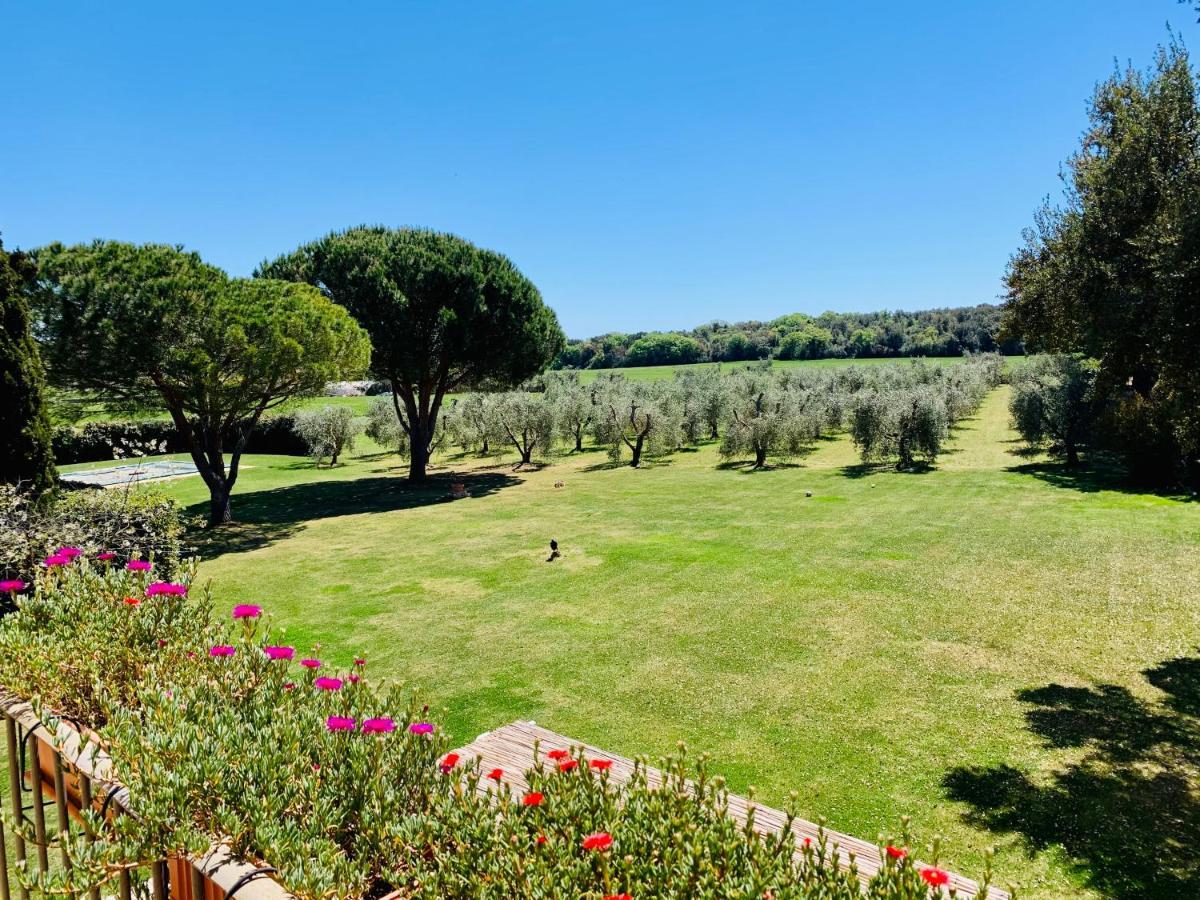 B&B Valle D'Oro Ansedónia Extérieur photo