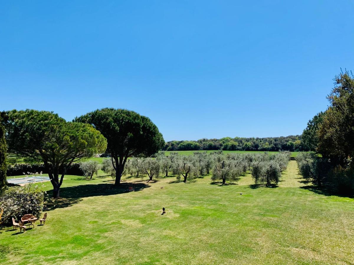 B&B Valle D'Oro Ansedónia Extérieur photo