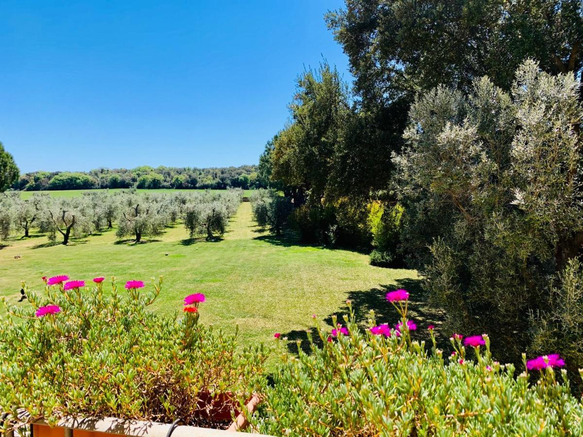 B&B Valle D'Oro Ansedónia Extérieur photo