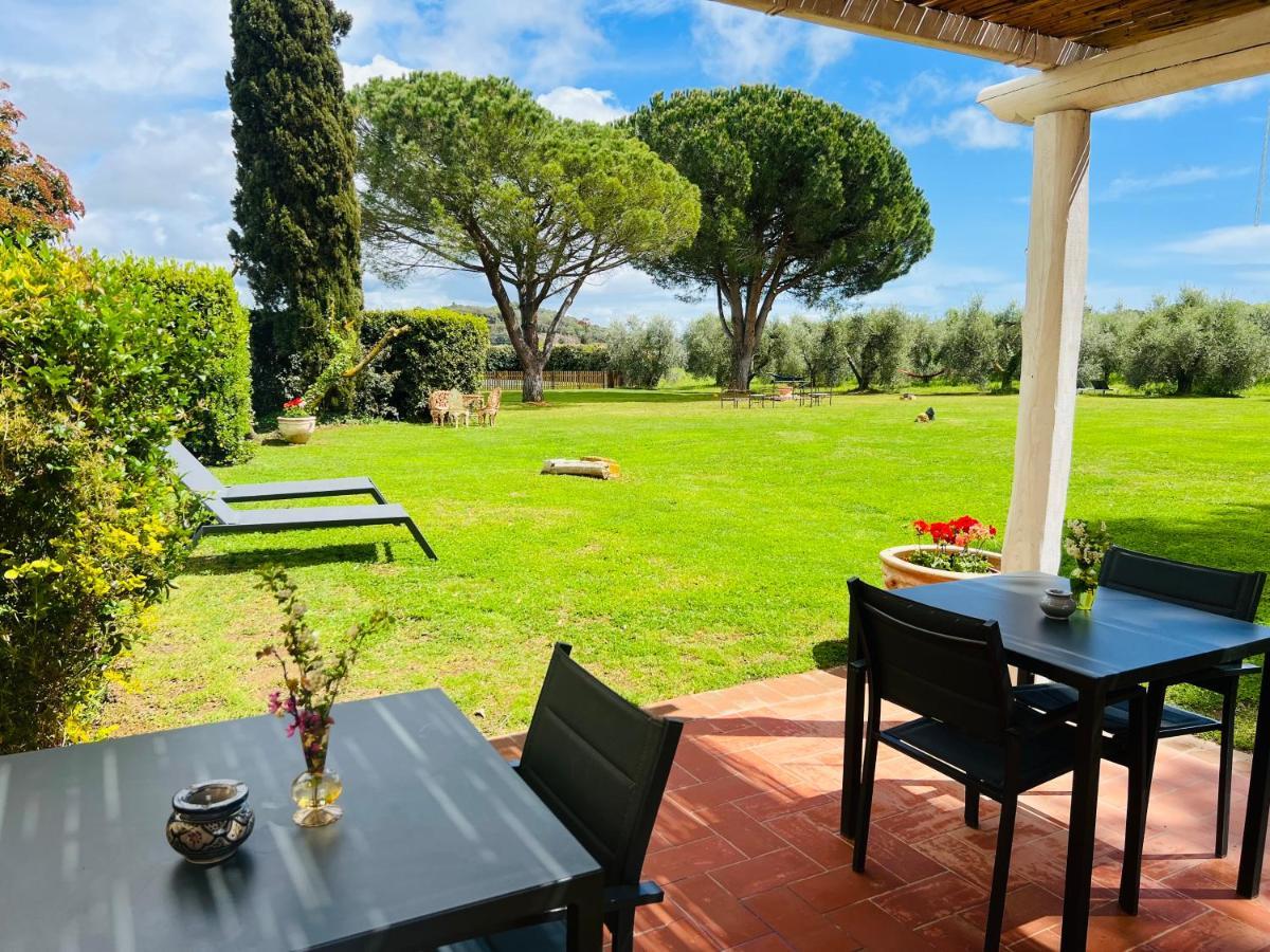 B&B Valle D'Oro Ansedónia Extérieur photo